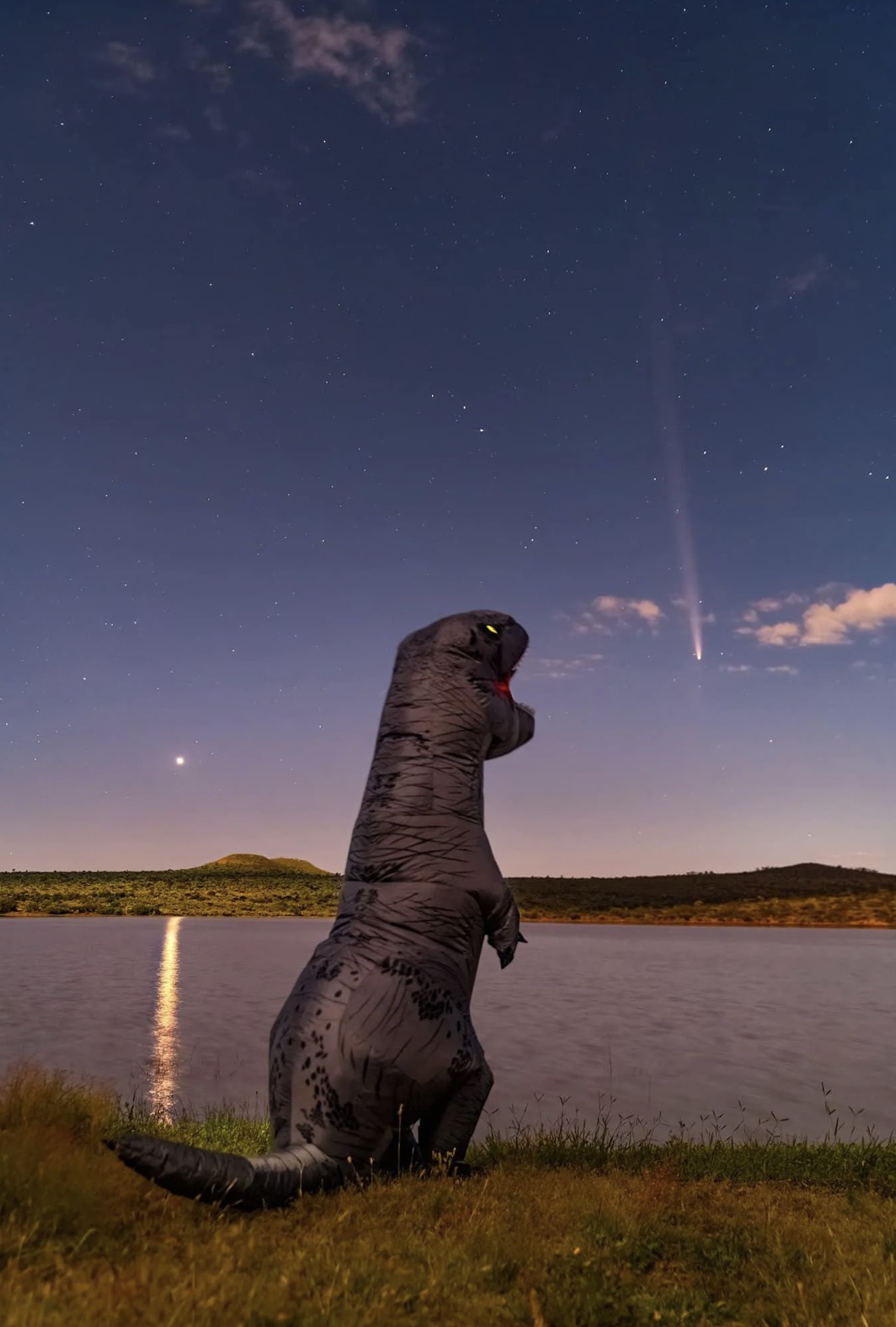 dinosaur comet not again